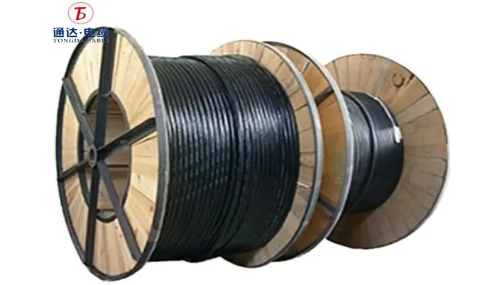 What is a cable that carries electricity